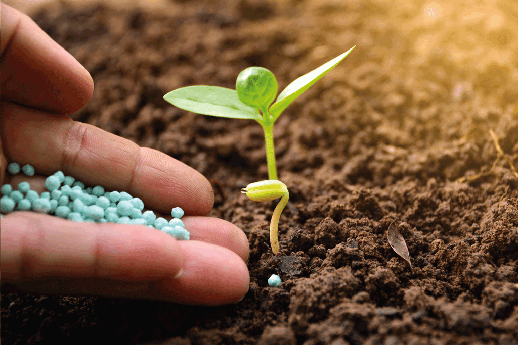 How Long Does Fertilizer Last in Soil?