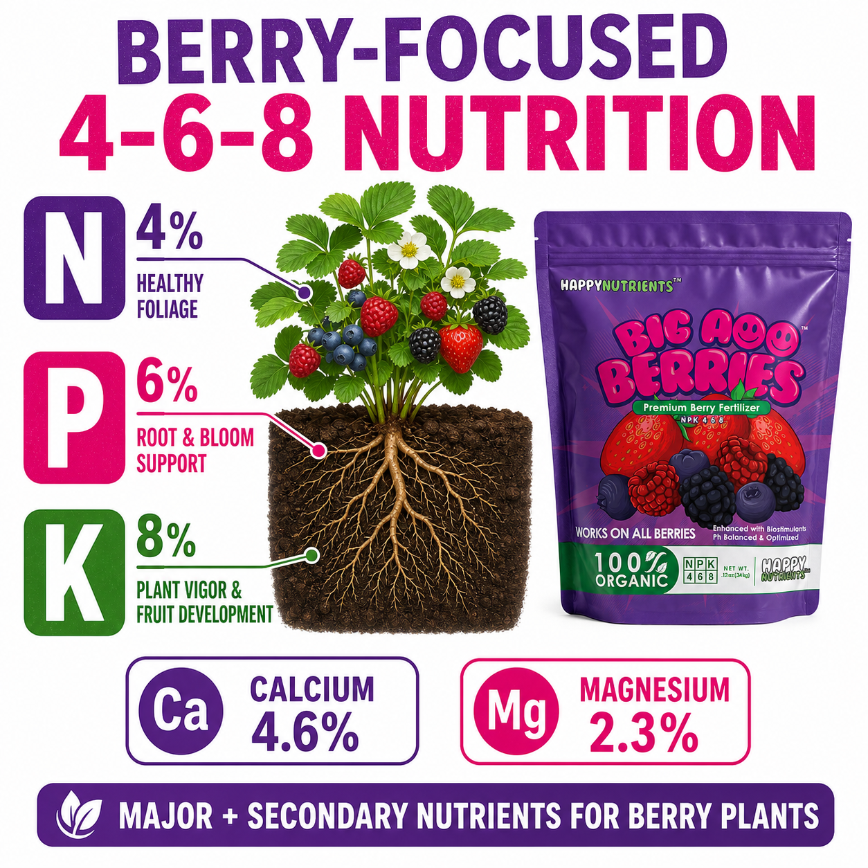 Strawberry Fertilizer - BigAss Fertilizers for Strawberries