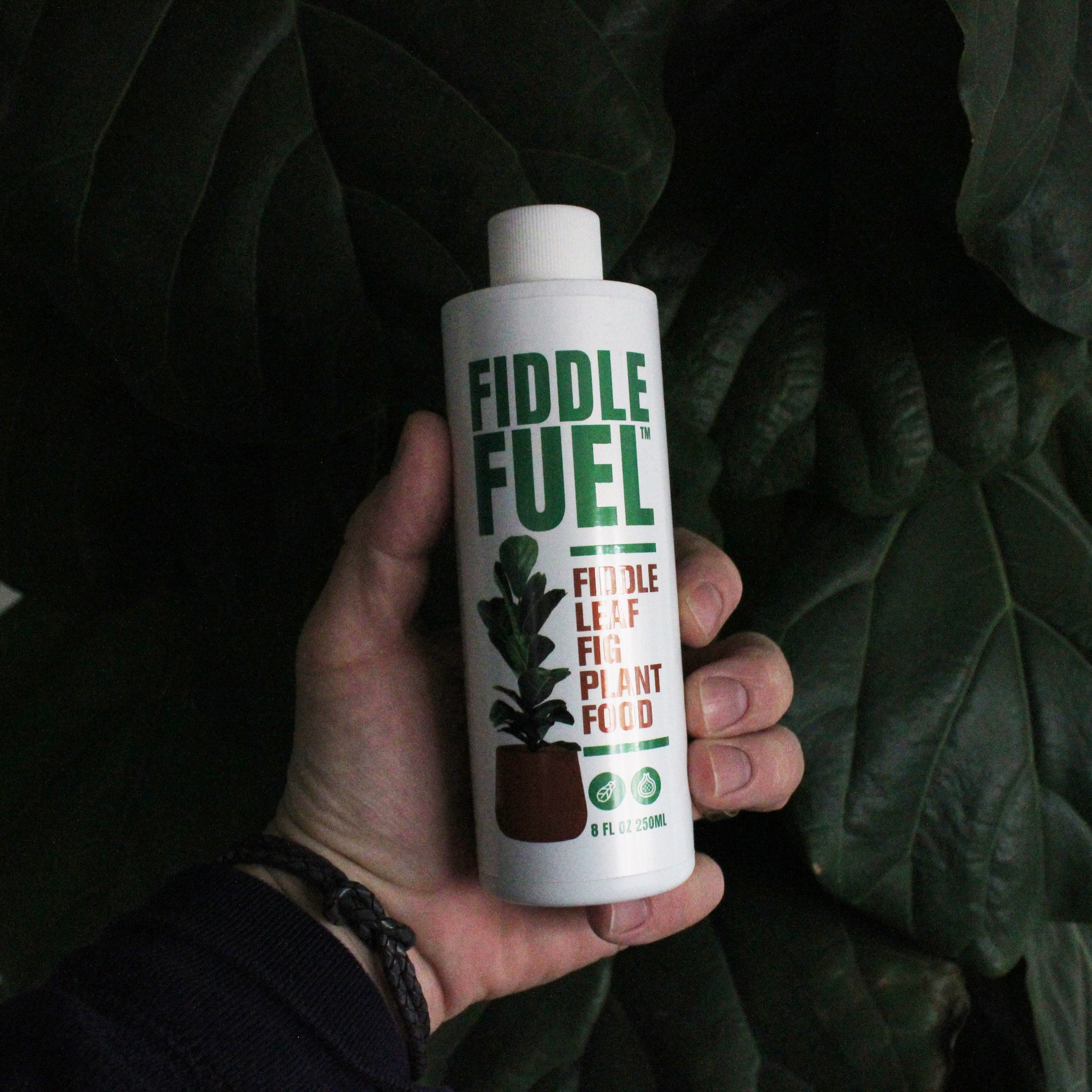 Fiddle Fuel